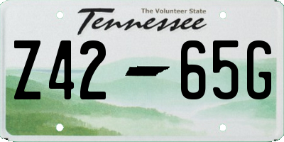 TN license plate Z4265G