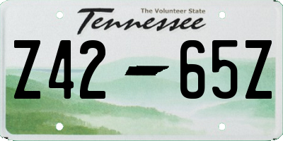TN license plate Z4265Z