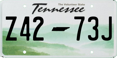 TN license plate Z4273J