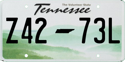 TN license plate Z4273L