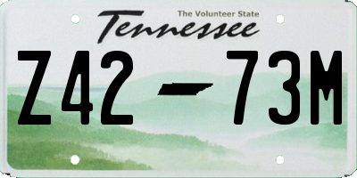 TN license plate Z4273M