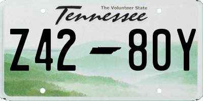 TN license plate Z4280Y
