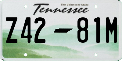 TN license plate Z4281M