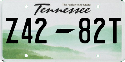 TN license plate Z4282T