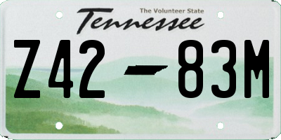 TN license plate Z4283M