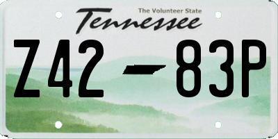 TN license plate Z4283P