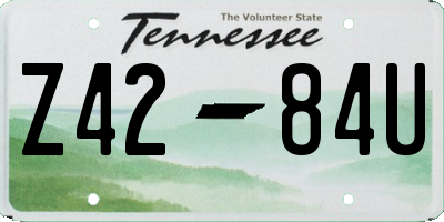 TN license plate Z4284U