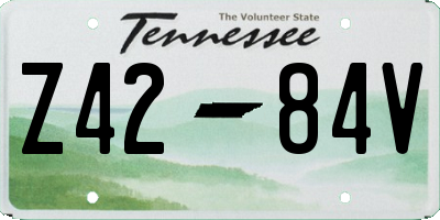 TN license plate Z4284V