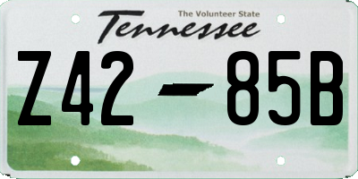 TN license plate Z4285B