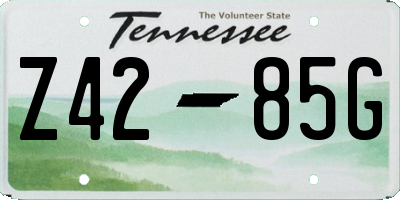 TN license plate Z4285G