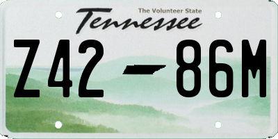 TN license plate Z4286M