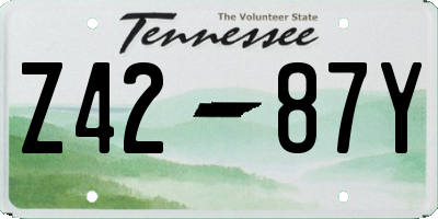 TN license plate Z4287Y