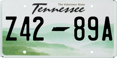 TN license plate Z4289A