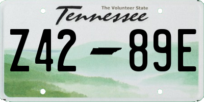 TN license plate Z4289E