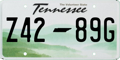 TN license plate Z4289G