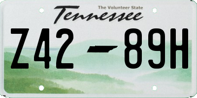 TN license plate Z4289H
