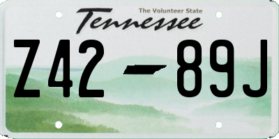 TN license plate Z4289J