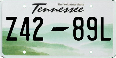 TN license plate Z4289L