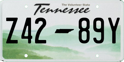 TN license plate Z4289Y