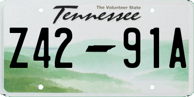 TN license plate Z4291A