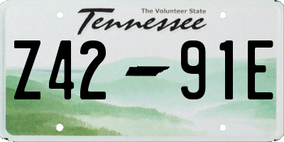 TN license plate Z4291E