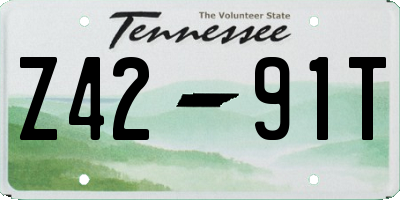 TN license plate Z4291T