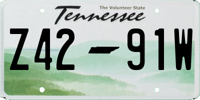 TN license plate Z4291W