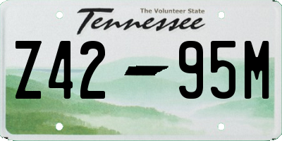 TN license plate Z4295M