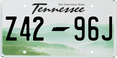 TN license plate Z4296J