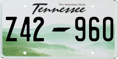 TN license plate Z4296O