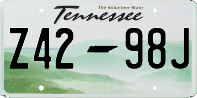 TN license plate Z4298J