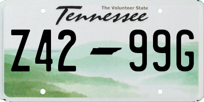 TN license plate Z4299G
