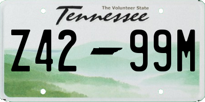 TN license plate Z4299M