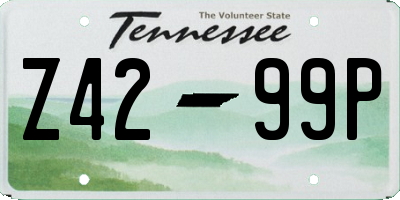 TN license plate Z4299P