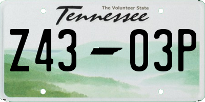 TN license plate Z4303P