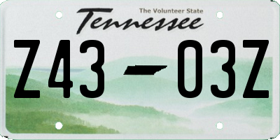 TN license plate Z4303Z