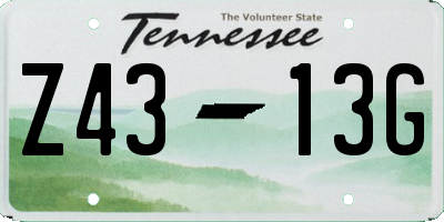 TN license plate Z4313G