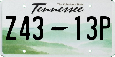 TN license plate Z4313P
