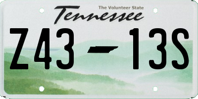 TN license plate Z4313S