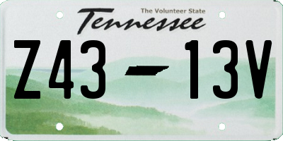 TN license plate Z4313V