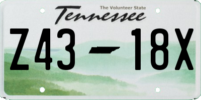 TN license plate Z4318X