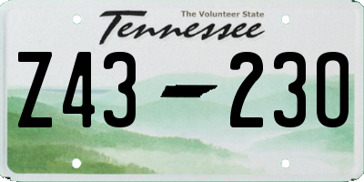 TN license plate Z4323O