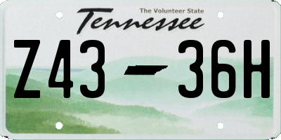 TN license plate Z4336H