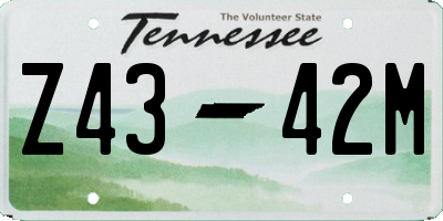 TN license plate Z4342M
