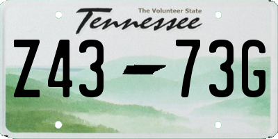TN license plate Z4373G