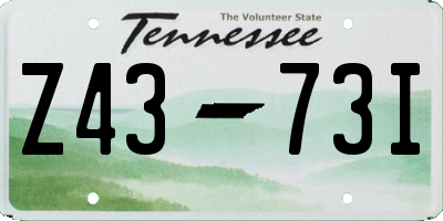 TN license plate Z4373I
