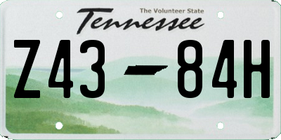 TN license plate Z4384H