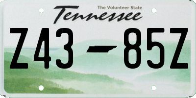 TN license plate Z4385Z