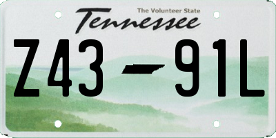 TN license plate Z4391L