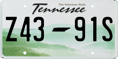 TN license plate Z4391S
